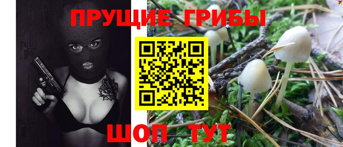 Псилоцибиновые грибы GOLDEN TEACHER  Вход с VPN  Псилоцибиновые грибы Cubensis  Нефтекамск 